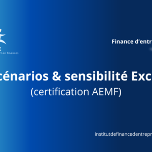 5-Modéliser les 3 scénarios de performance financière dans Excel (obligatoire)